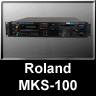 MKS-100